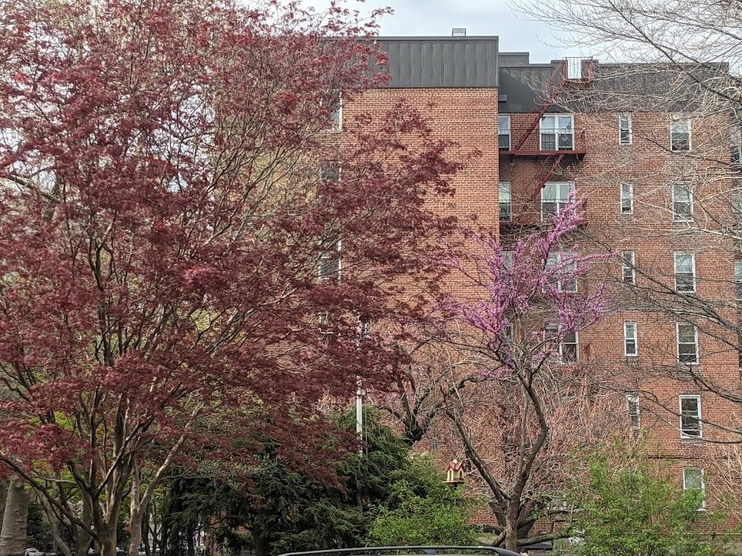 34th Avenue photo 2