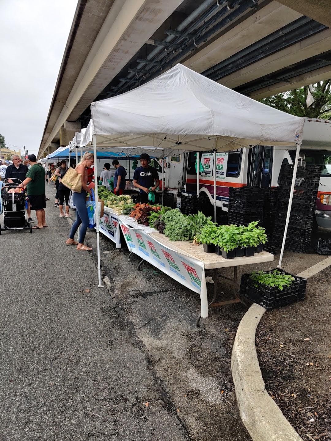 Collingswood Farmers Market photo 5