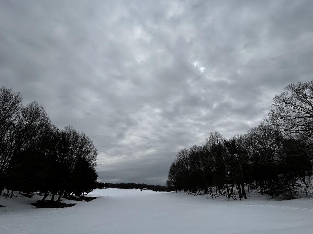 William J. Devine Golf Course at Franklin Park photo 5