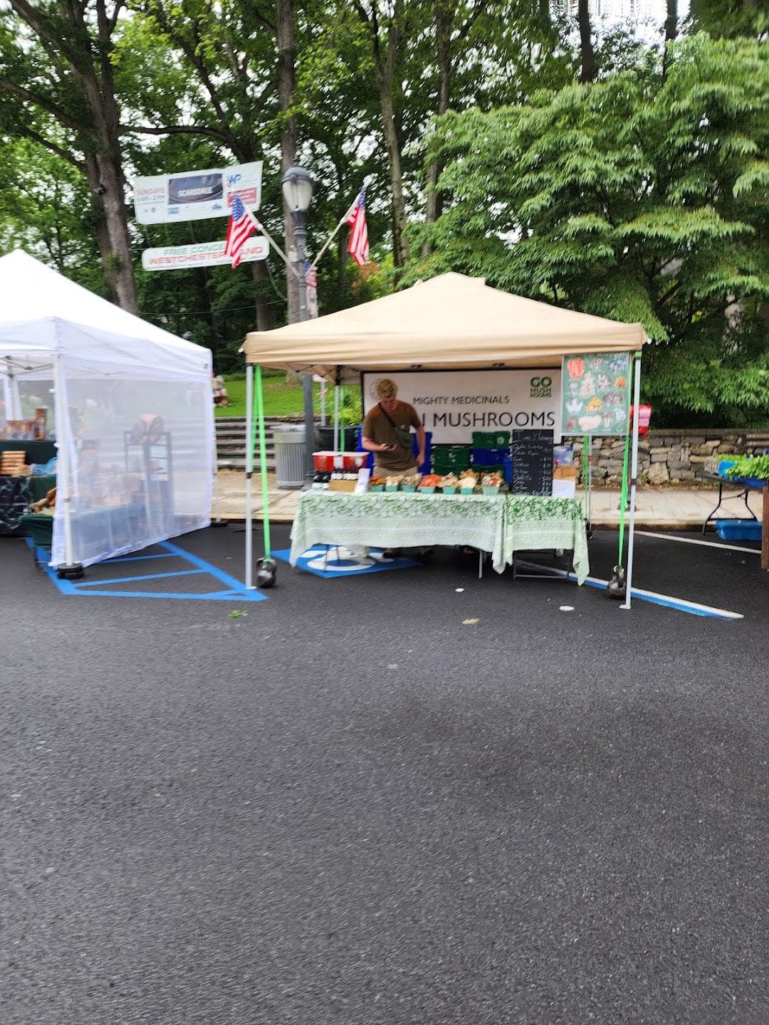 Down to Earth Scarsdale Farmers Market photo 1