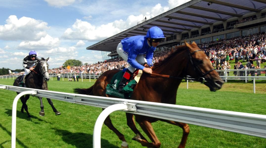 Sandown Park Racecourse photo 3