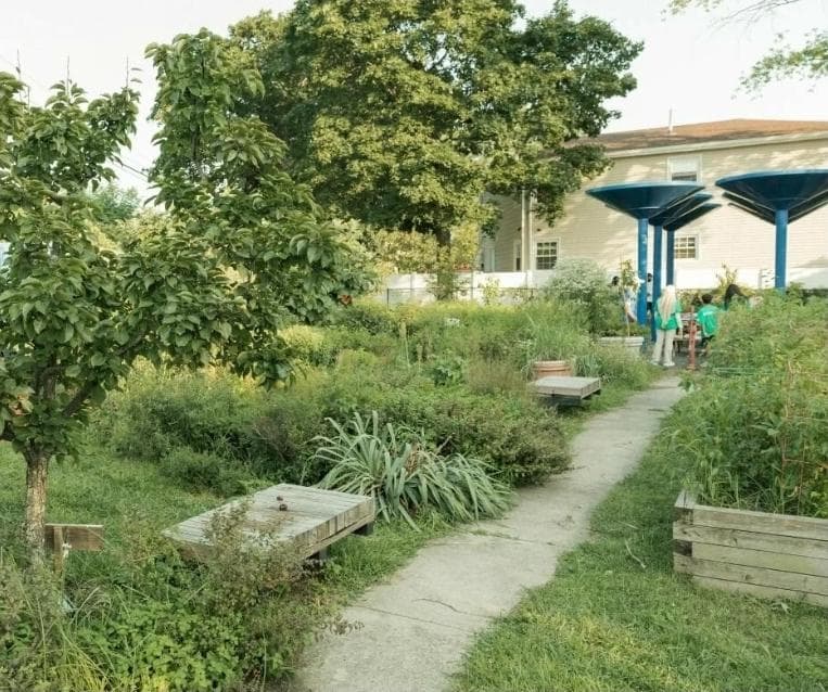 Curtis "50 Cent" Jackson Community Garden photo 2
