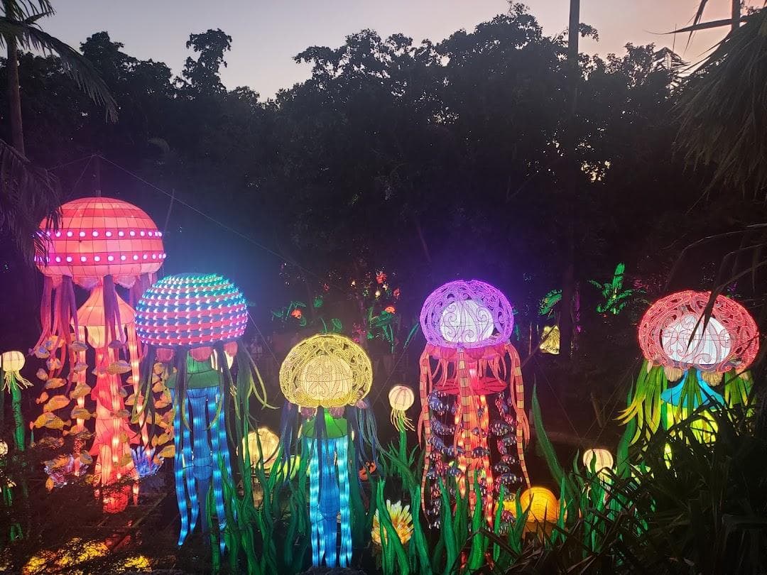 Jungle Island photo 1
