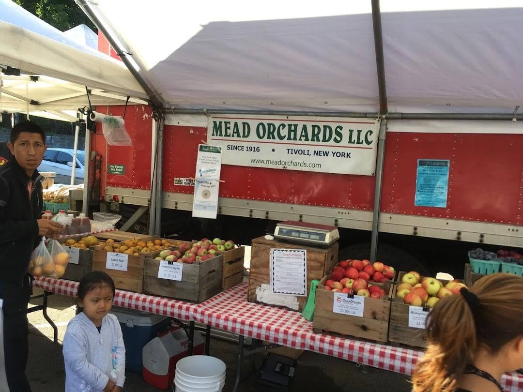 Down to Earth Ossining Farmers Market photo 4