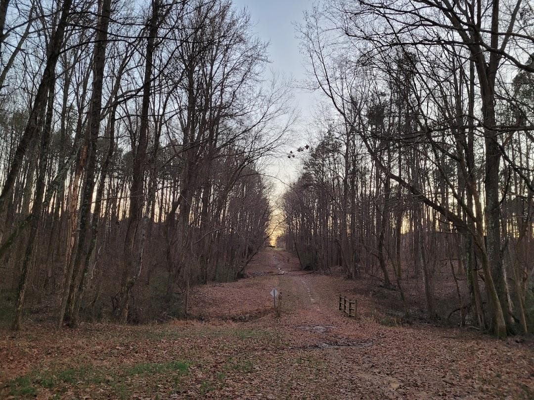 Robbins Park photo 5