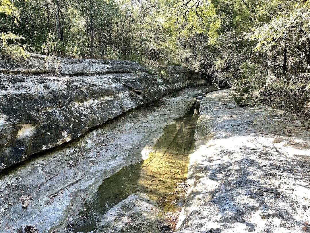 Blunn Creek Nature Preserve photo 6