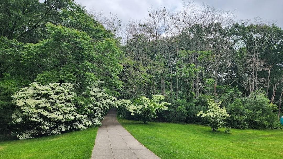 Shattuck Picnic Grove photo 1