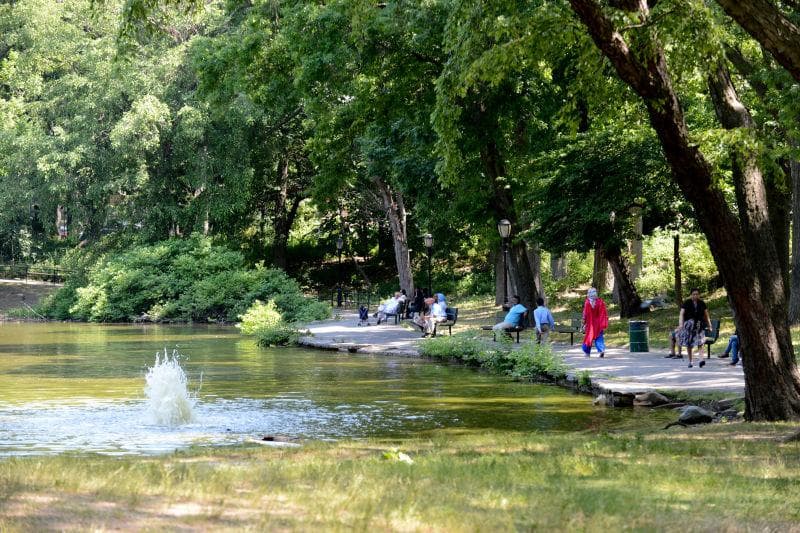 Captain Tilly Park photo 5