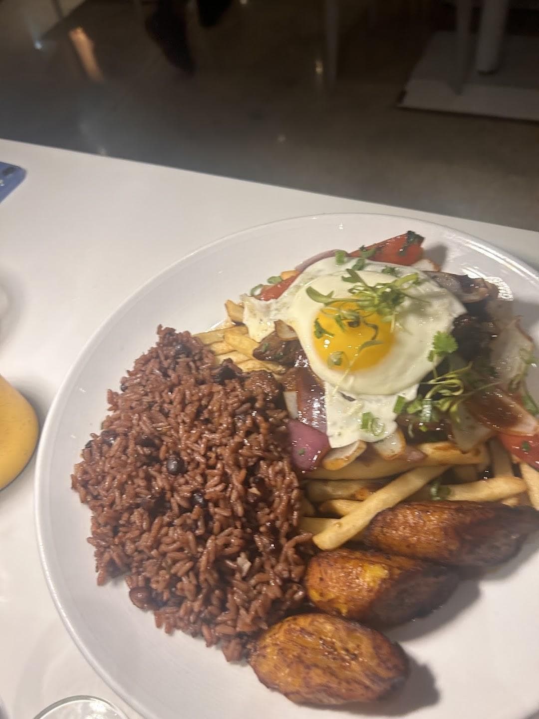 YUCA 105 photo 6