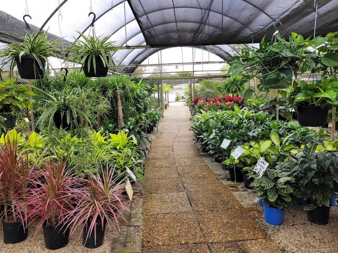Galloway Farm Nursery Inc. photo 2