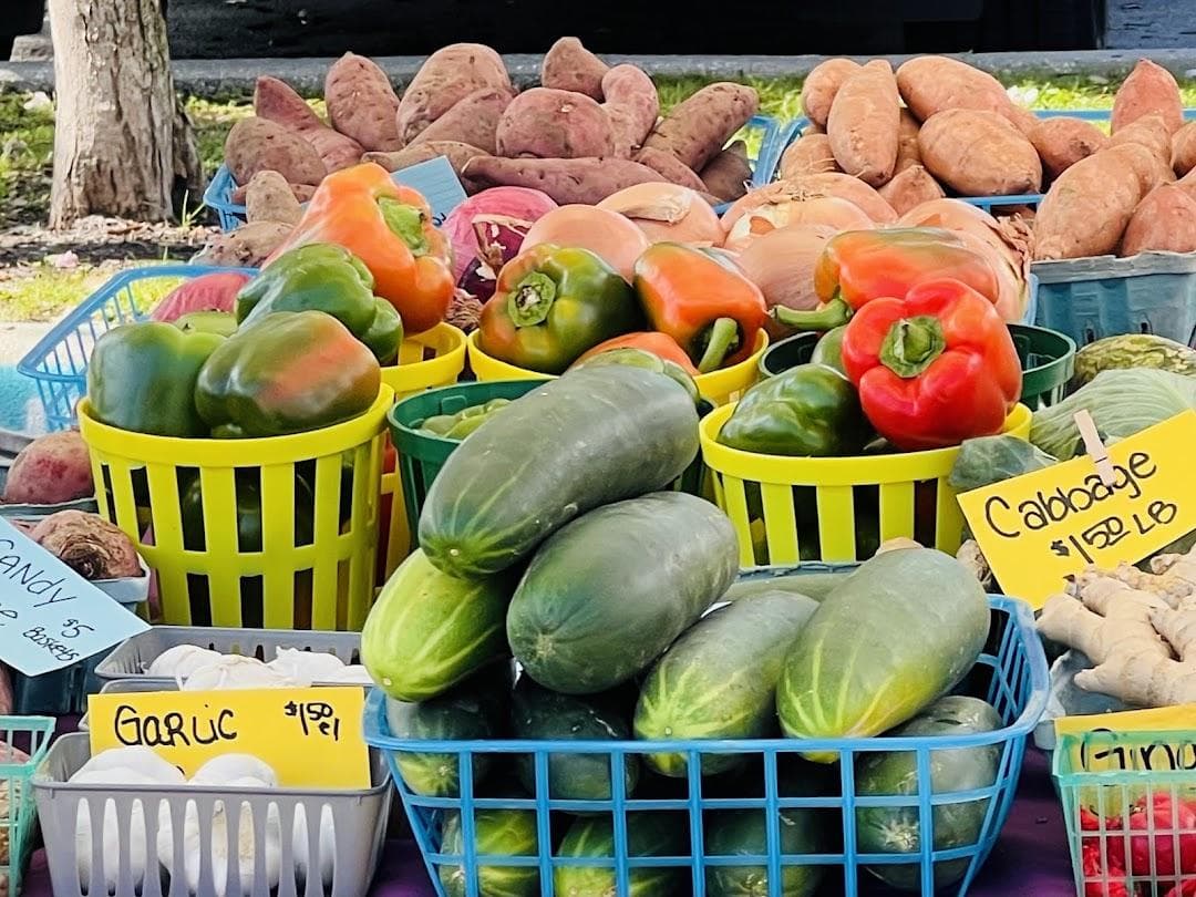 Deerfield Beach Farmers Market photo 1