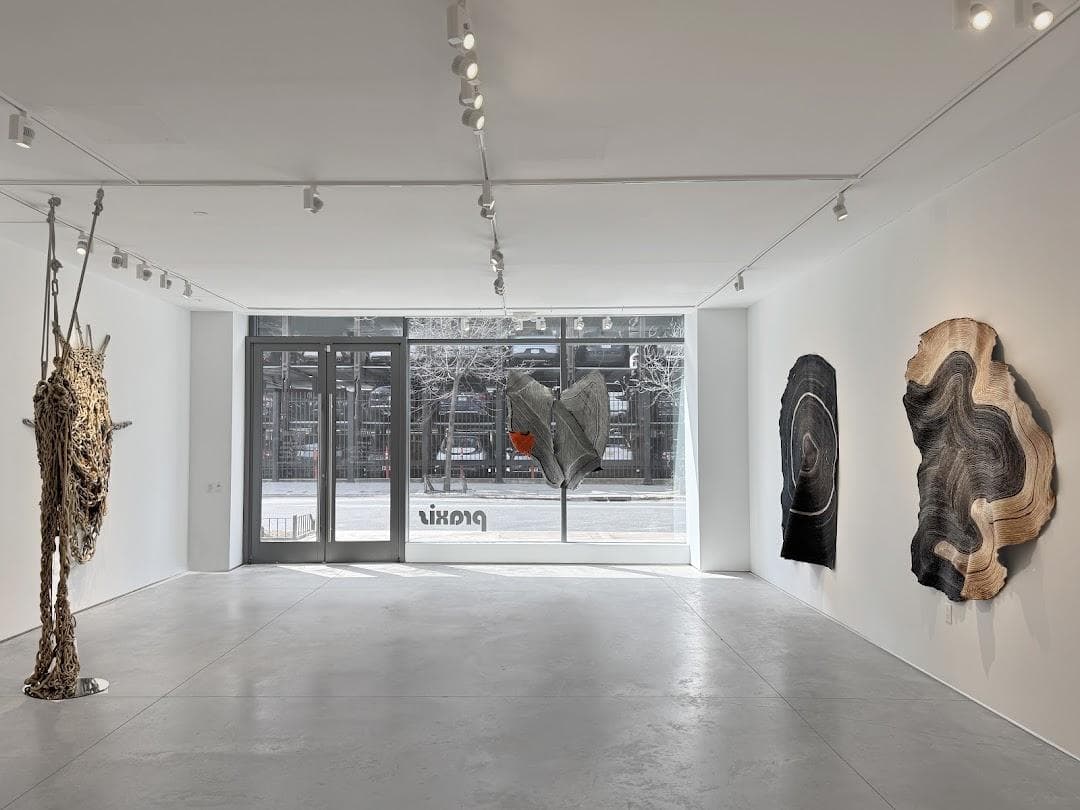 Praxis Gallery photo 1