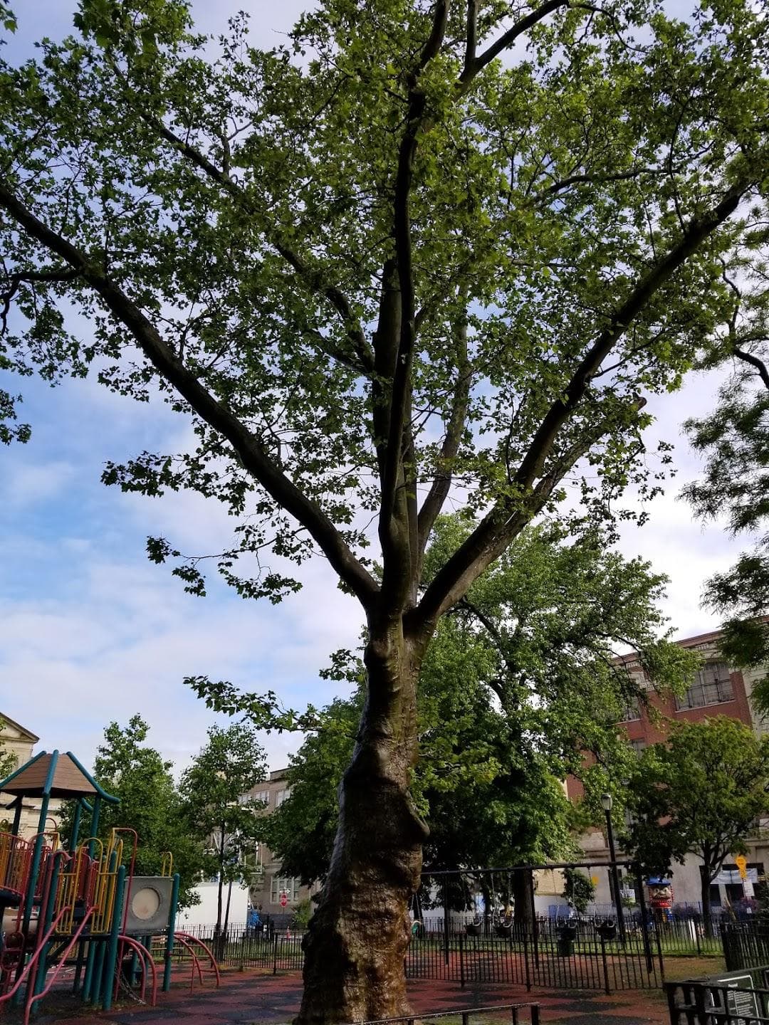 Irving Square Park photo 2