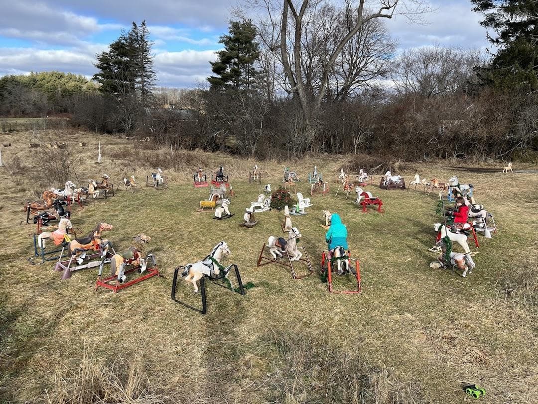 Ponyhenge photo 6