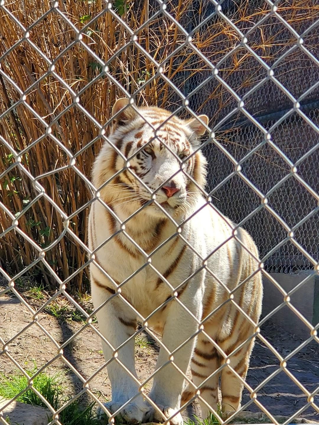 Austin Zoo photo 1