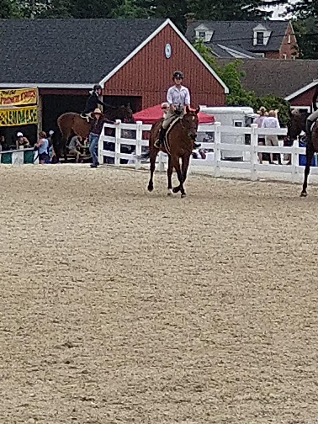 Devon Horse Show & Country Fair and Devon Fall Classic photo 5