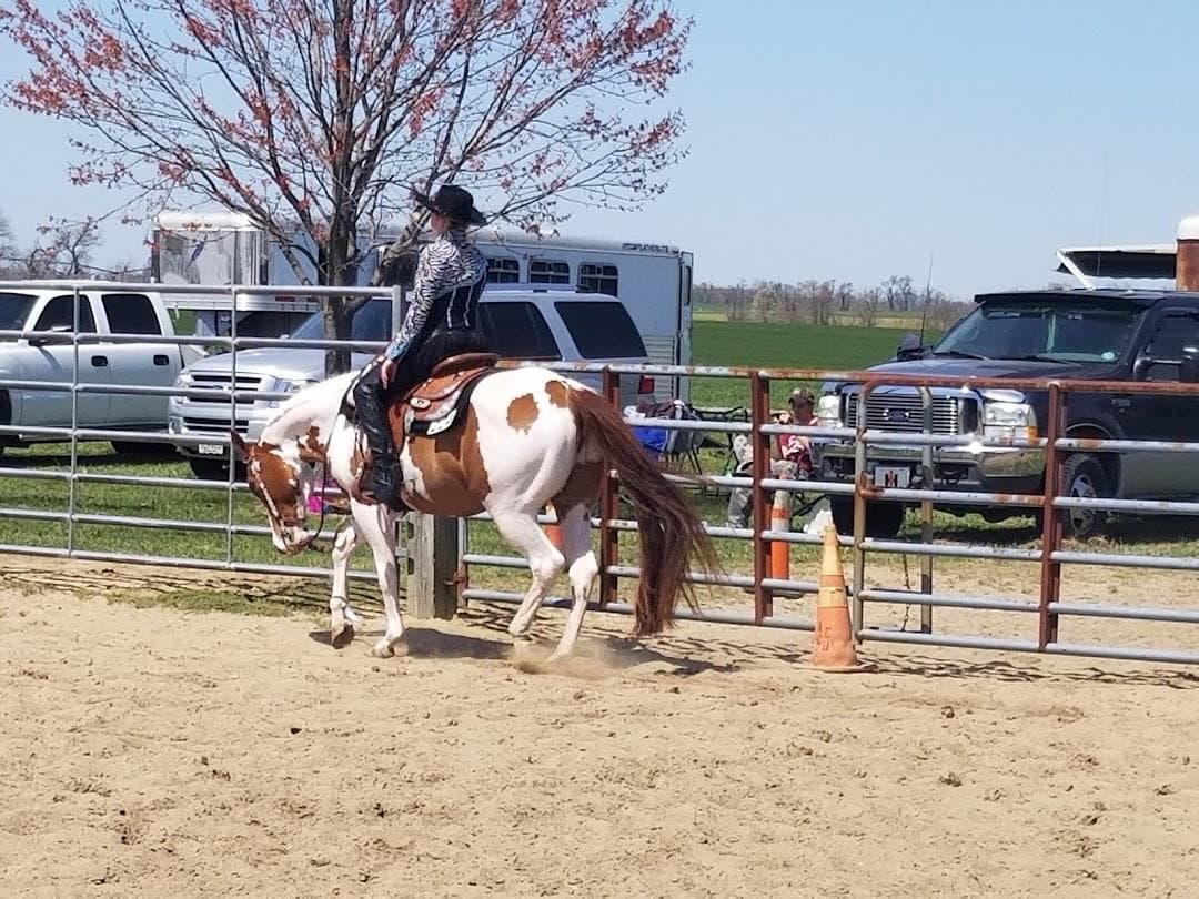 Salem County Fair Association photo 5