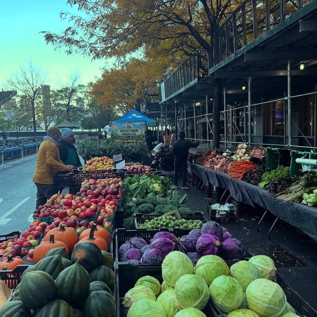 Down to Earth Battery Park City Farmers Market photo 1