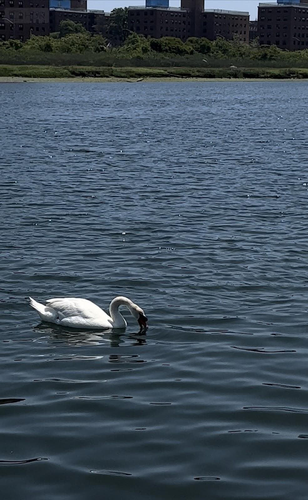 Dubos Point Wildlife Sanctuary photo 5