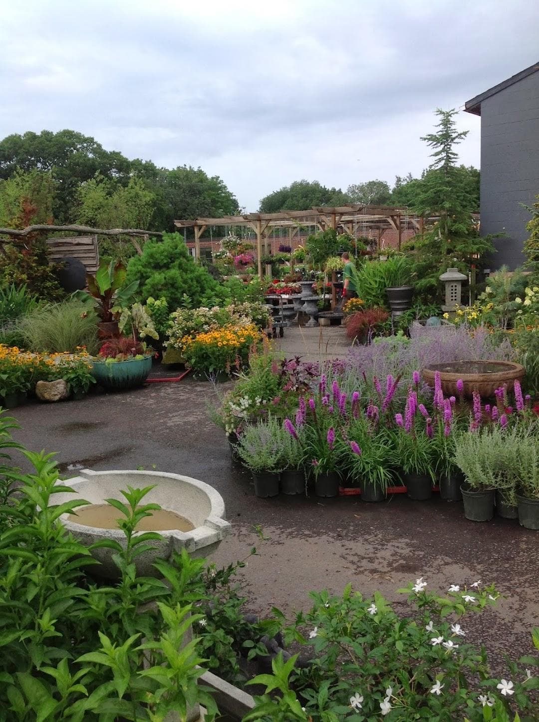 Mahoney's Garden Center photo 4