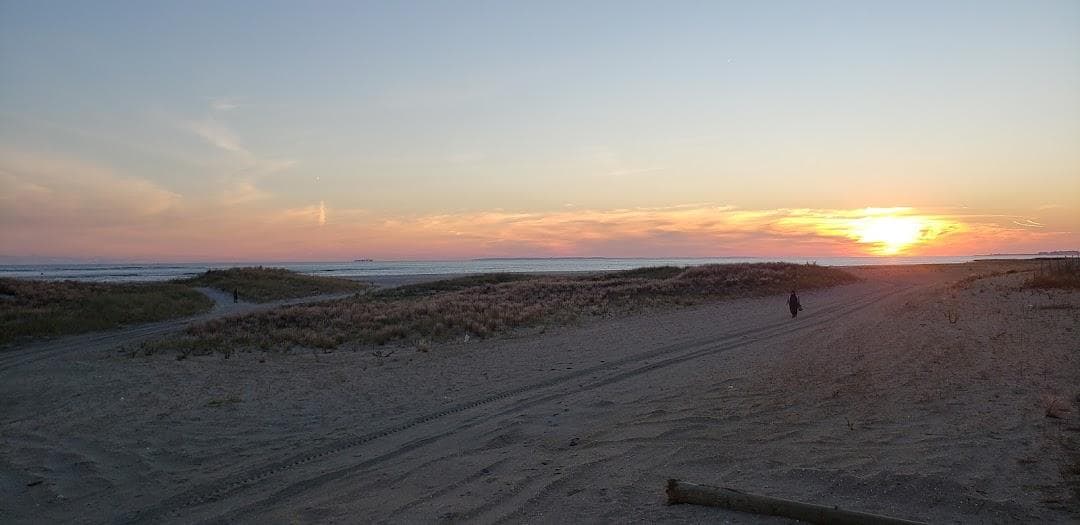 Boardwalk photo 5