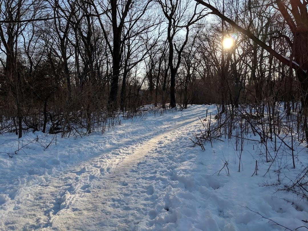 Rock Meadow Conservation Area photo 4