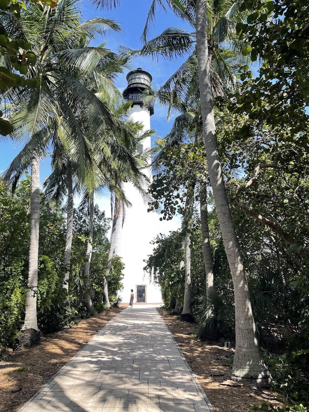 Bill Baggs Cape Florida State Park photo 4