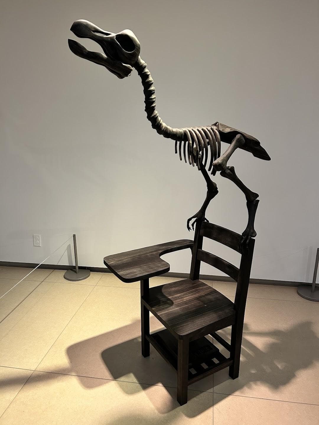 Rose Art Museum photo 3