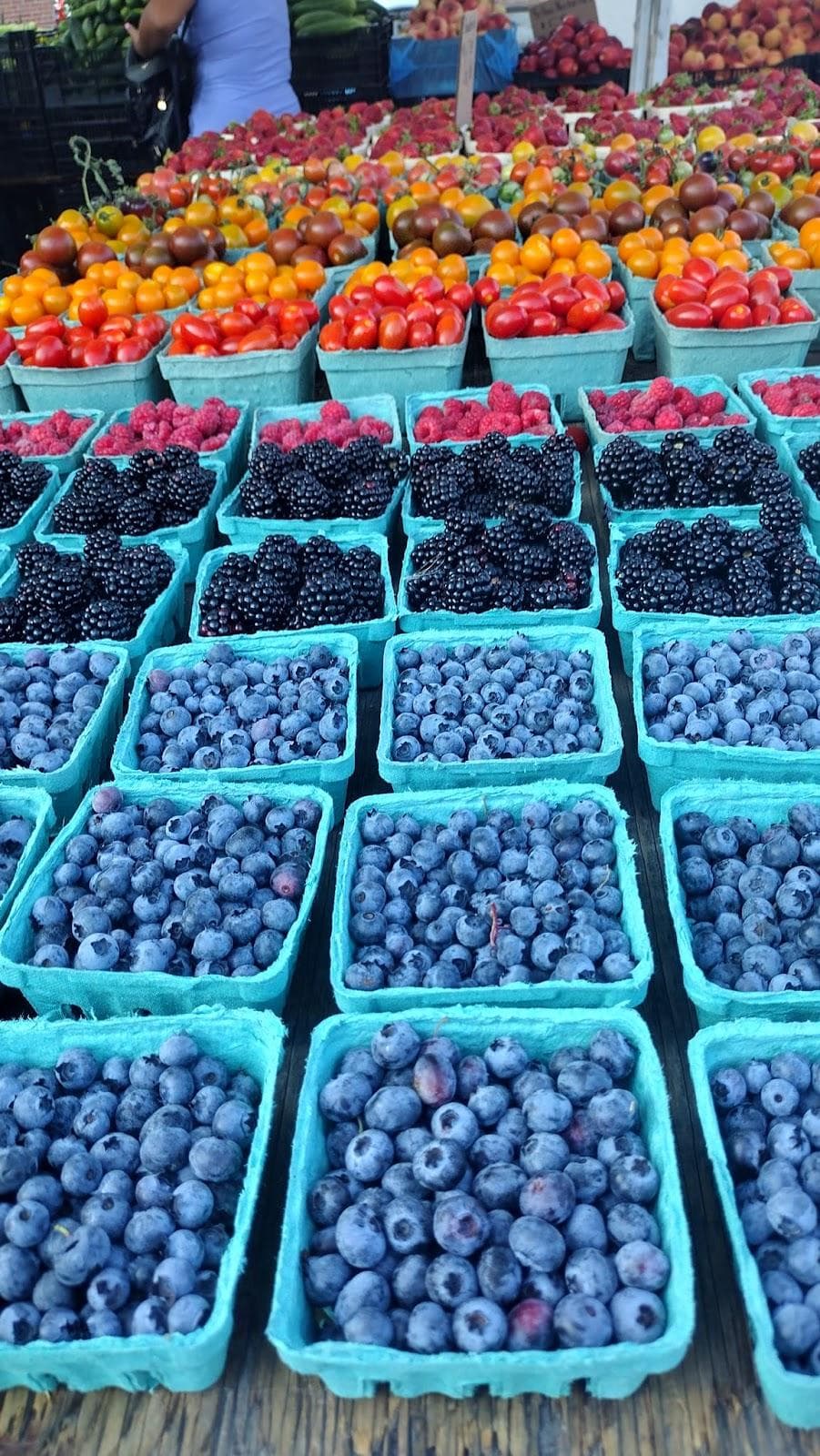Down to Earth Ossining Farmers Market photo 3