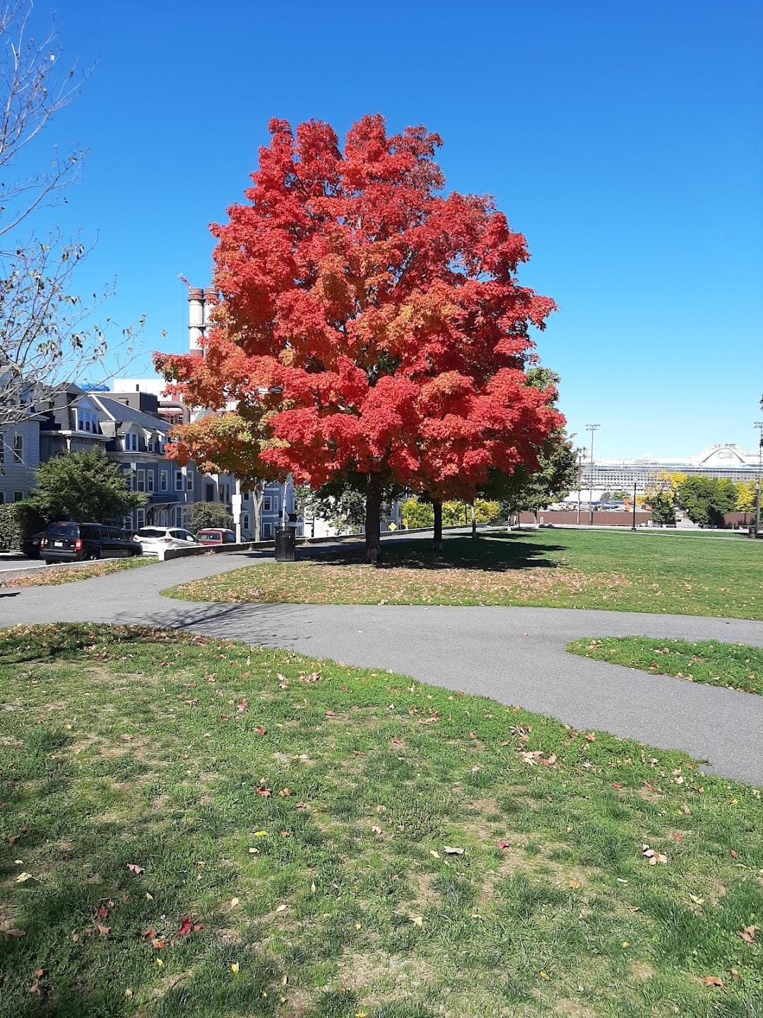 Medal of Honor Park photo 6