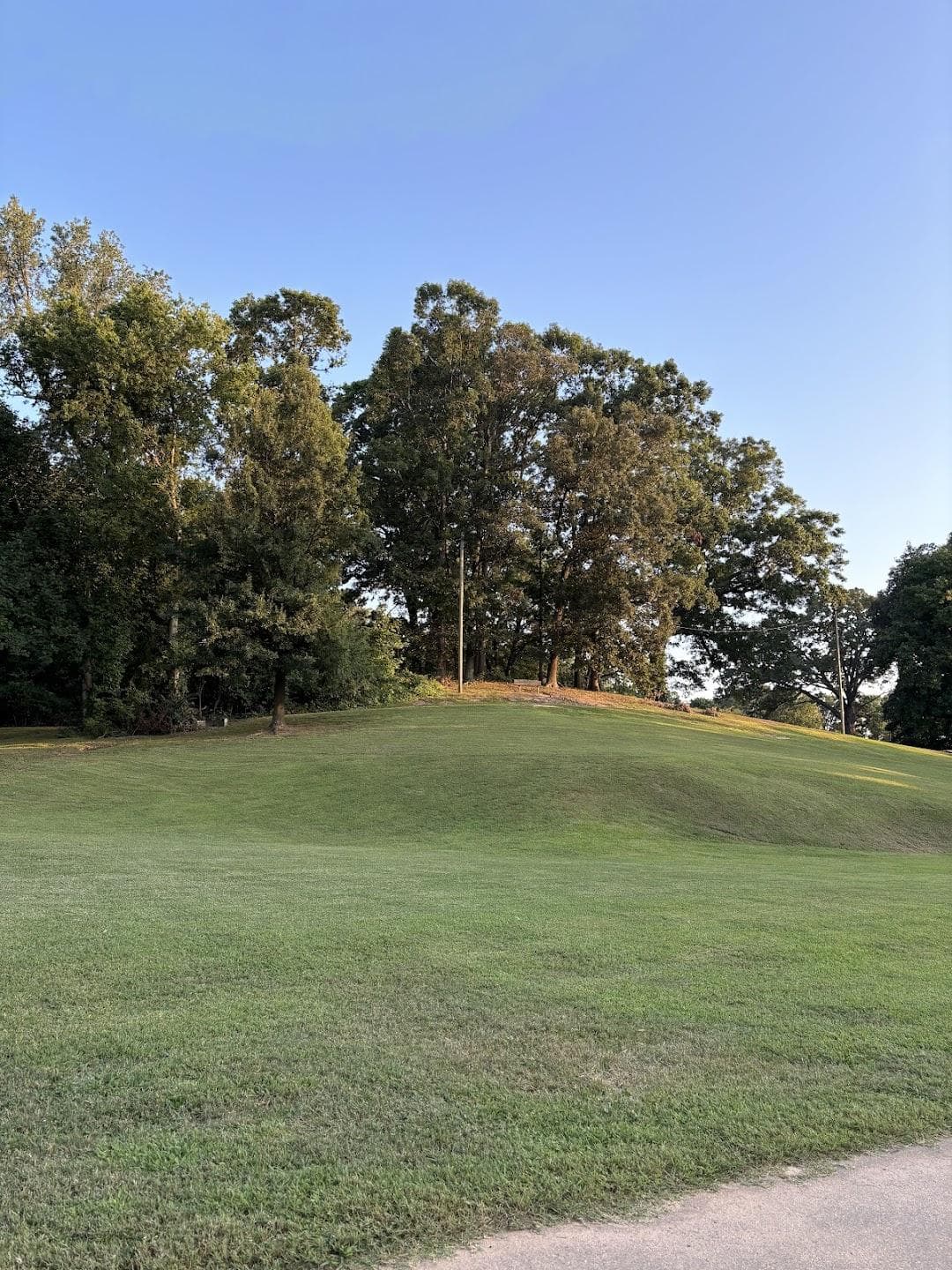 Cordelia Park photo 3