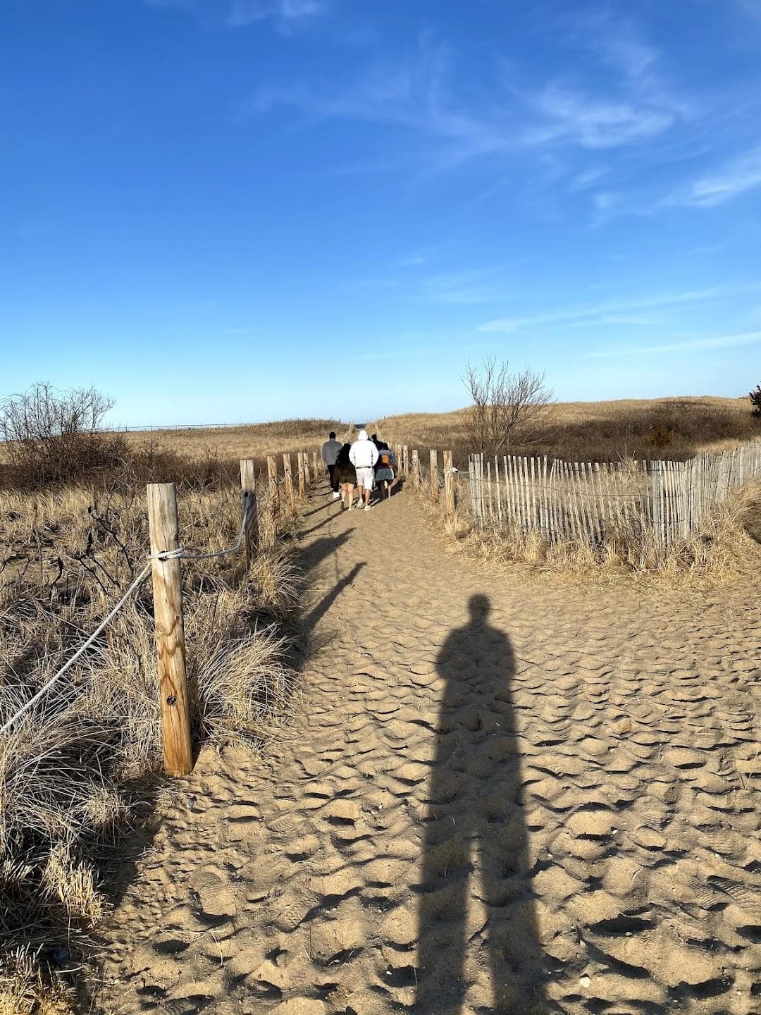Plum Island Beach photo 3