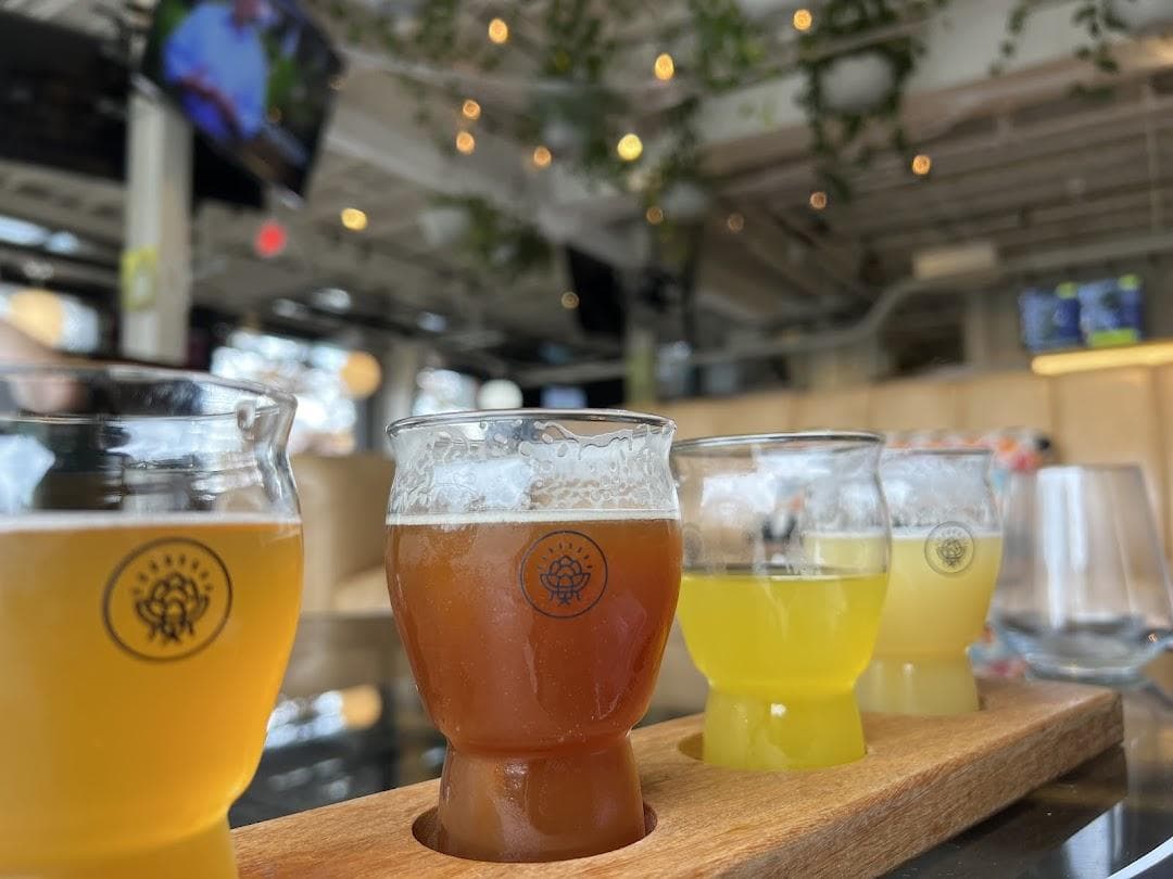 HopFly Brewing Company photo 5