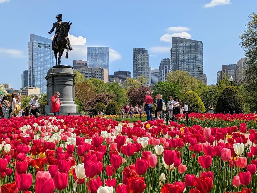 Public Garden photo 5
