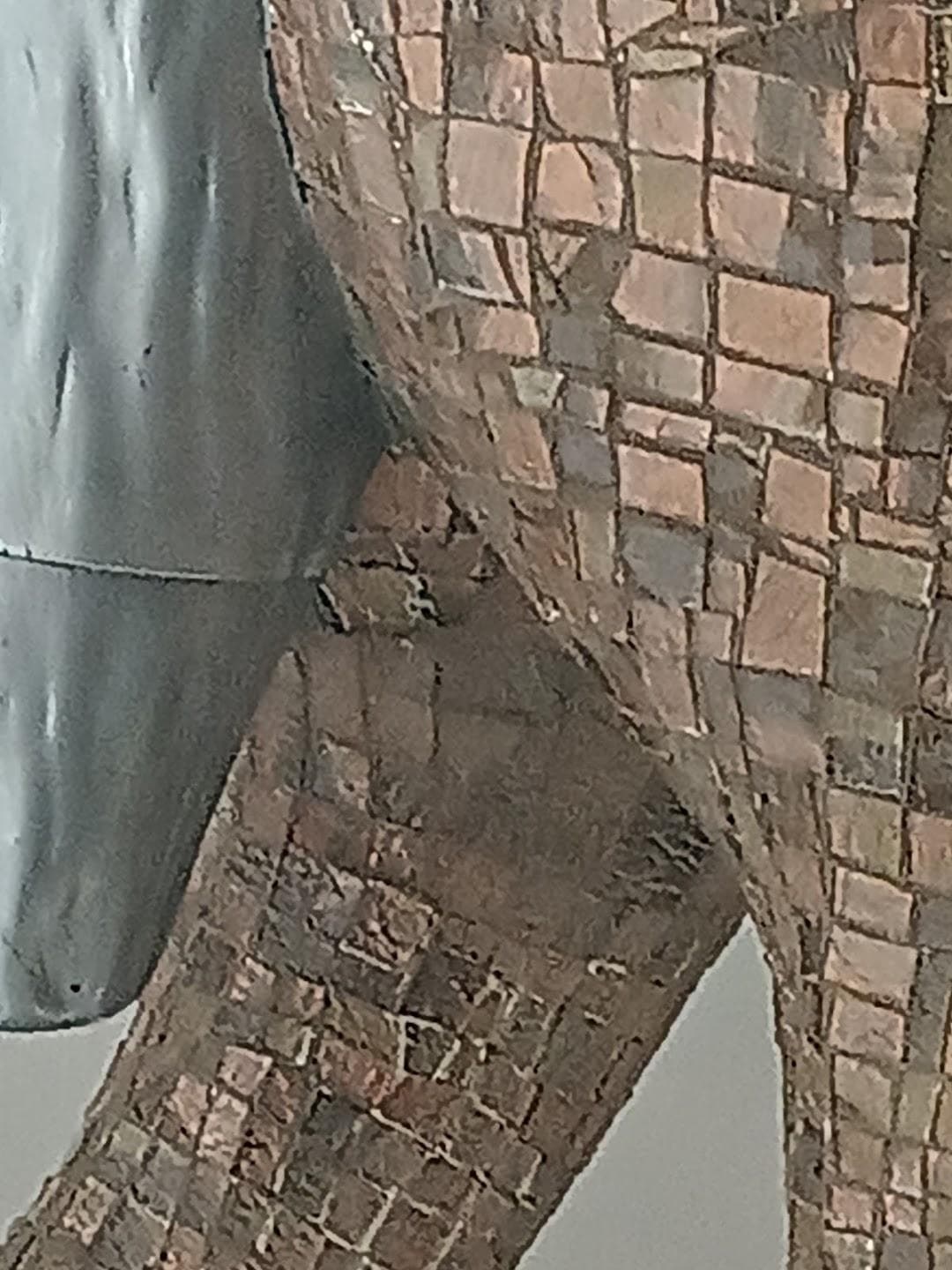 Gallery 26 photo 2