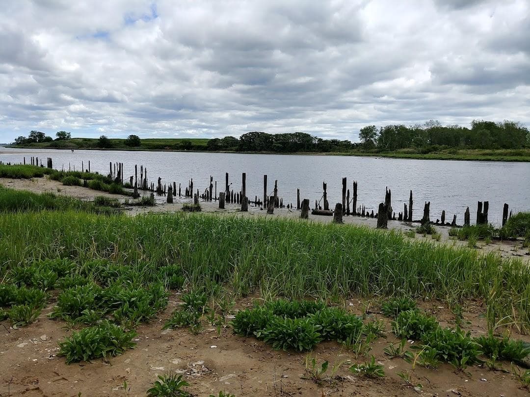 Dubos Point Wildlife Sanctuary photo 1