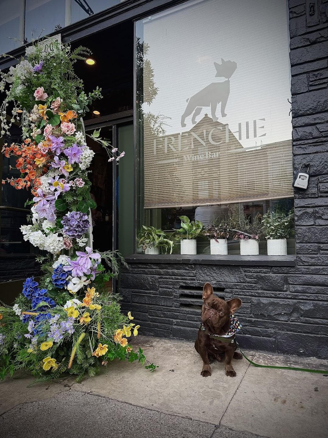 Frenchie Wine Bar photo 1