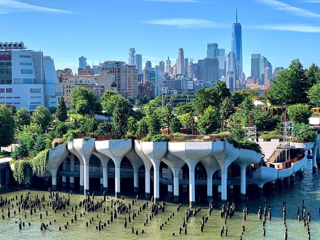 Pier 57 Rooftop Park photo 3