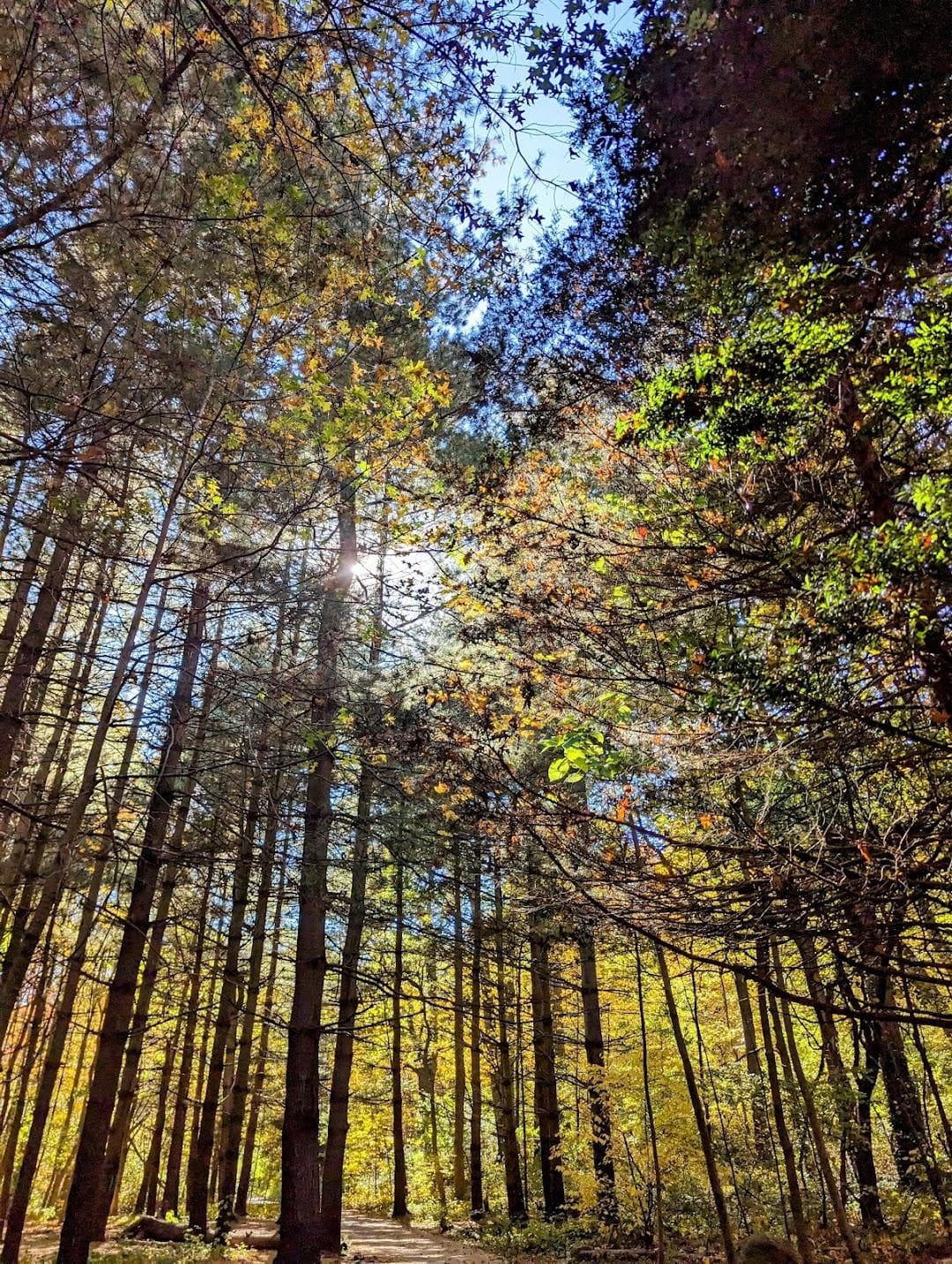 Alley Pond Park photo 4