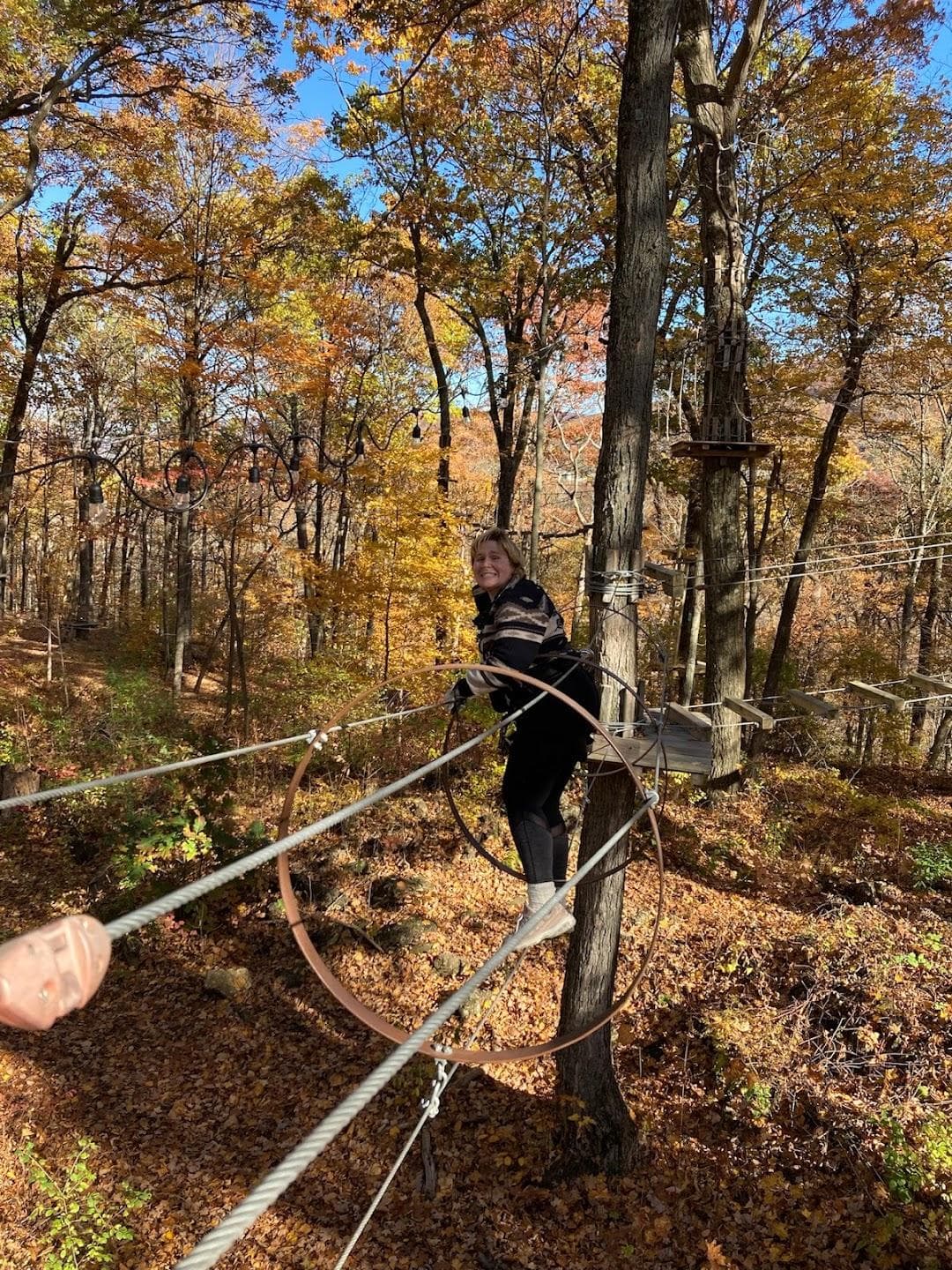 Treescape Aerial Adventure Park photo 4
