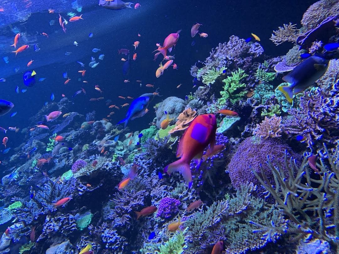 Phillip & Patricia Frost Museum of Science photo 2