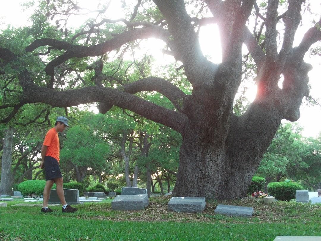 Austin Memorial Park Cemetery photo 3