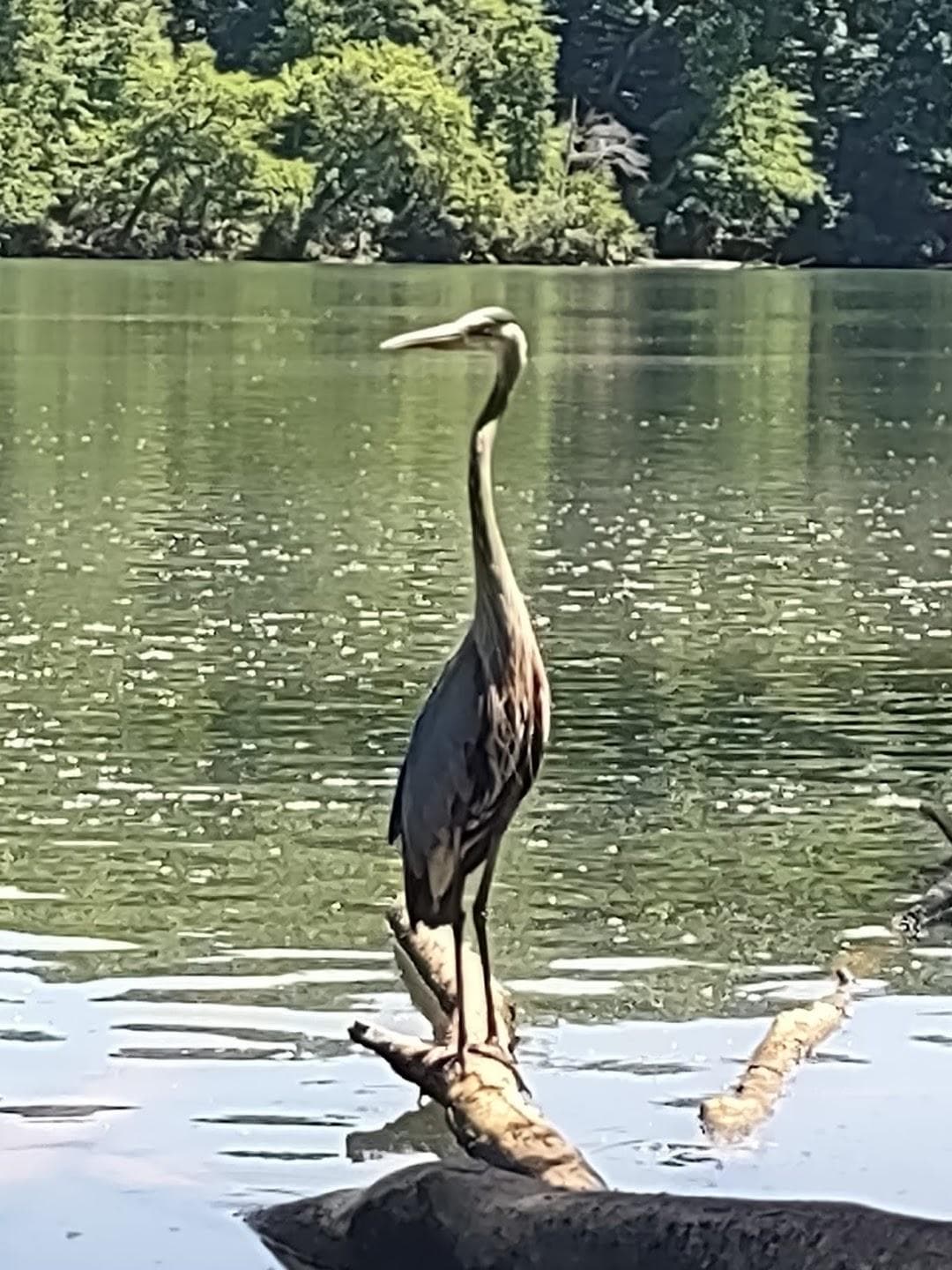 Tuckaseege Park photo 3
