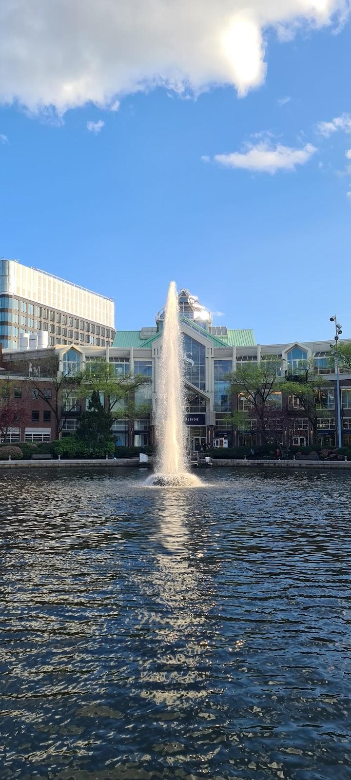 100 Cambridgeside Pl photo 2