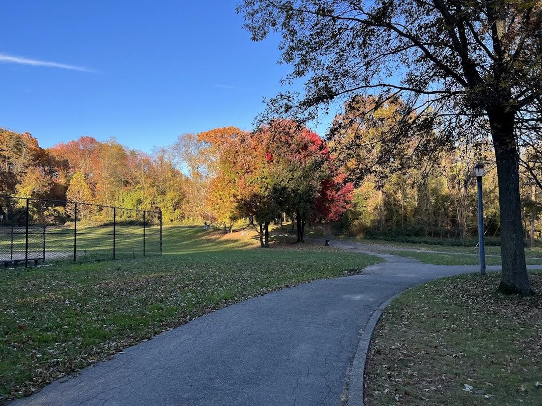 Alley Pond Park photo 2