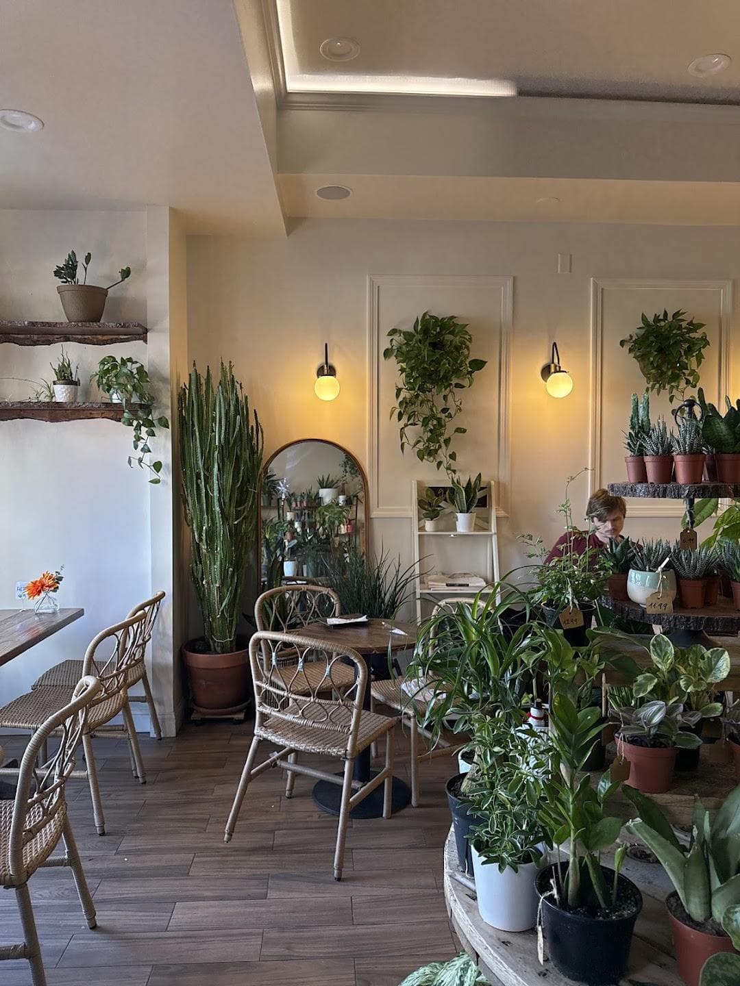 Green Haus Cafe photo 3