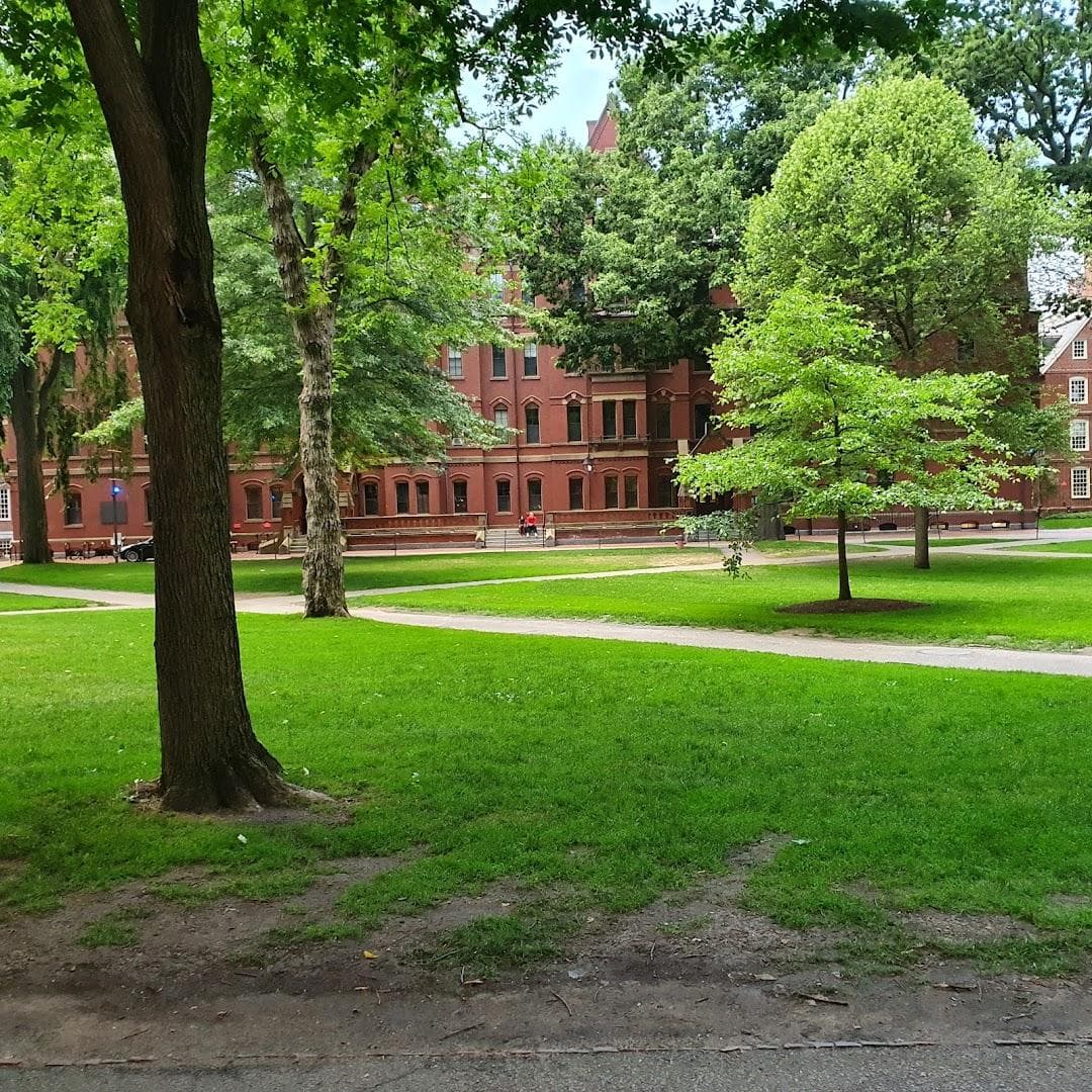 Harvard Square photo 1