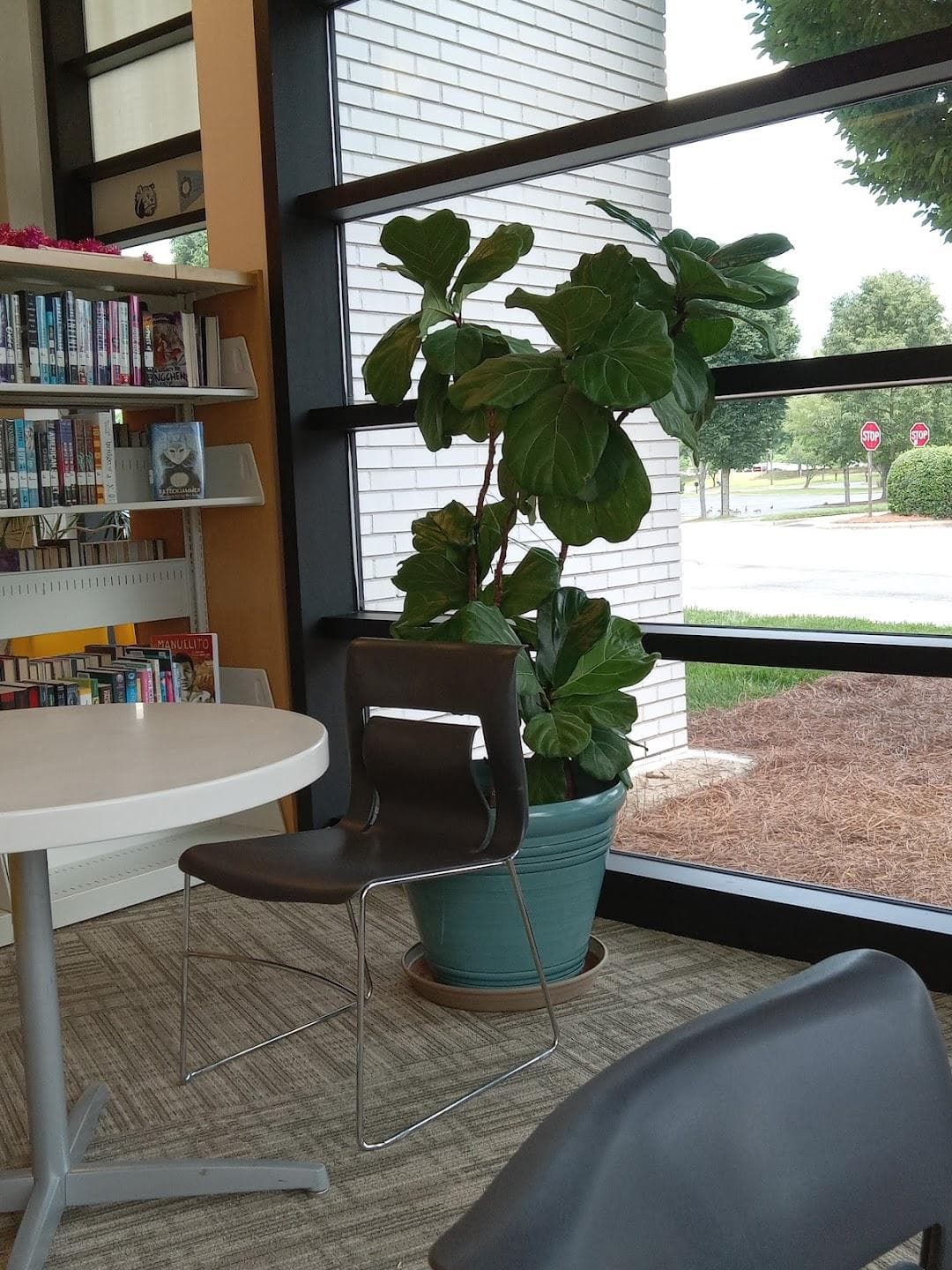 Charlotte Mecklenburg Library - Hickory Grove photo 3