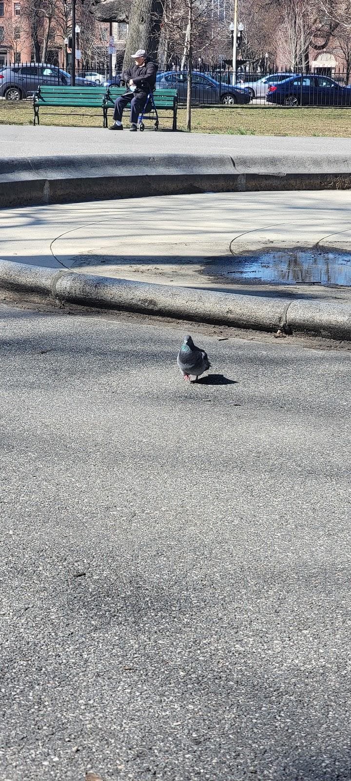 Franklin Square photo 3