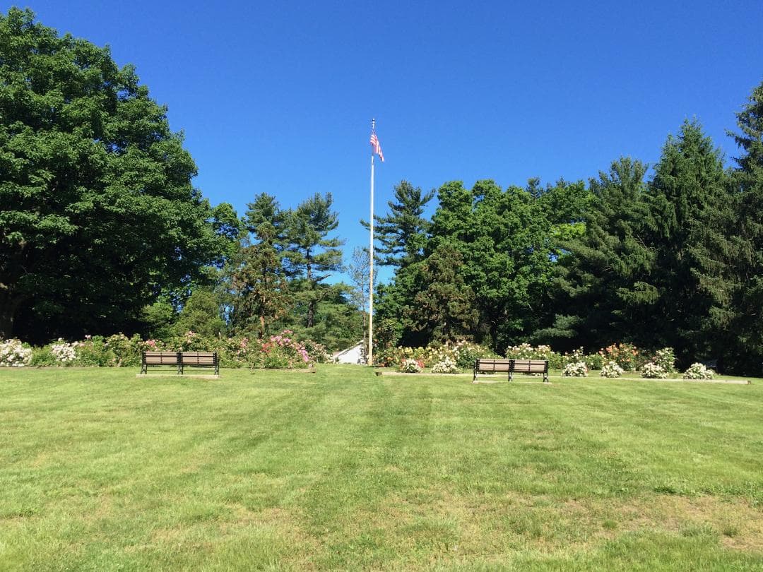 Brookdale Park photo 6